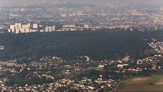 La forêt régionale de Bondy immunisée contre l'urbanisation et l'artificialisation