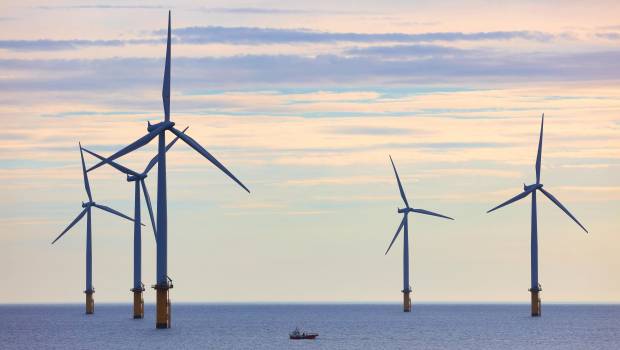 Tribune | « Éolien offshore : la planification est un impératif écologique »