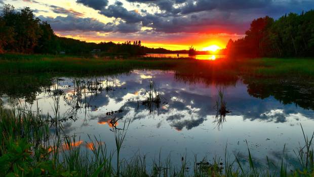 5 300 communes bénéficiaires de la dotation de soutien pour la protection de la biodiversité