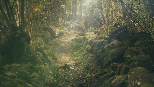 Une opération pour créer 1 000 km de sentiers