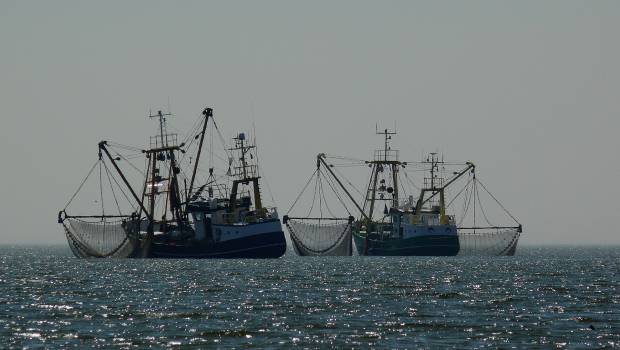 Fin de la pêche de fond dans les écosystèmes en eau profonde