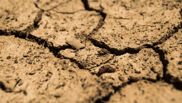 Le changement climatique accroîtrait la probabilité de sécheresses agricoles en Europe