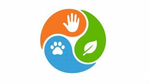 Premier bilan positif pour le plan national santé environnement 2021-2025 