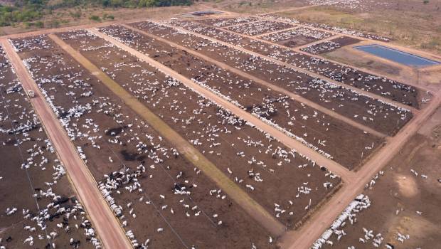 L'Union européenne renforce la lutte contre la déforestation importée