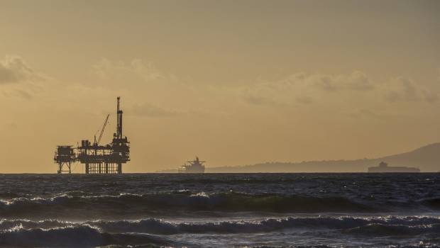 La Commission européenne établit des seuils de bruits sous-marins tolérables