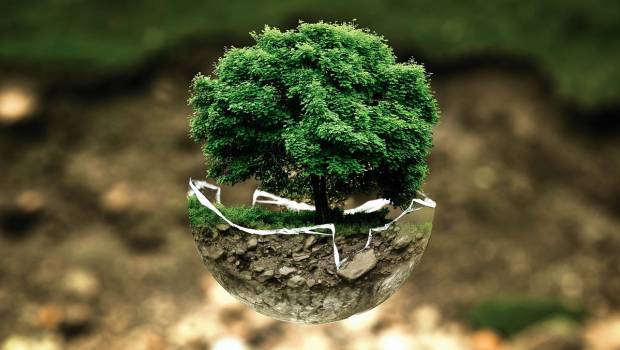 Climat et biodiversité : les évènements verts de l'année 2022