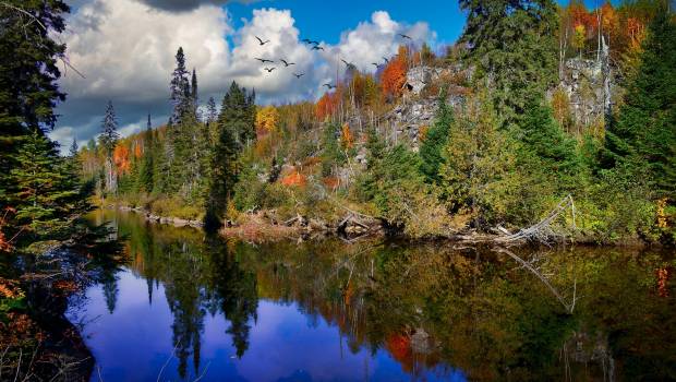 L'OFB lutte contre l’érosion de la biodiversité