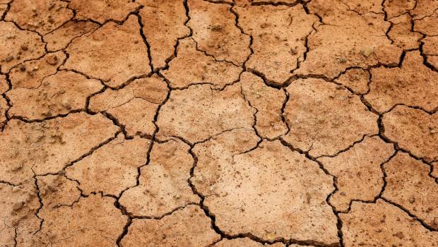 Chaleur et sécheresse combinées aggraveraient les crises écologiques et sociales