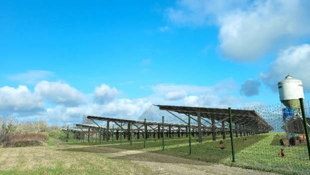 Des installations solaires adaptées à chaque typologie d’exploitation