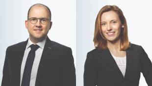 Tout savoir sur : les brevets verts