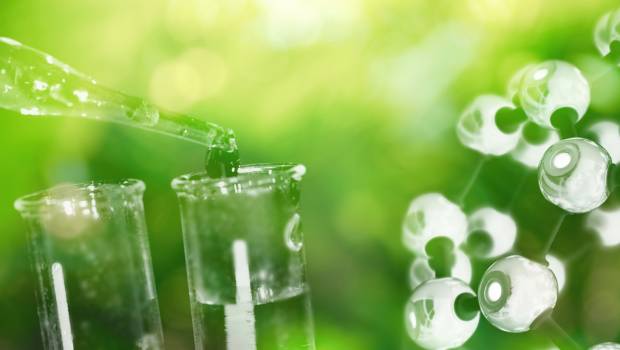 BWT France explore la chimie verte pour traiter l'eau