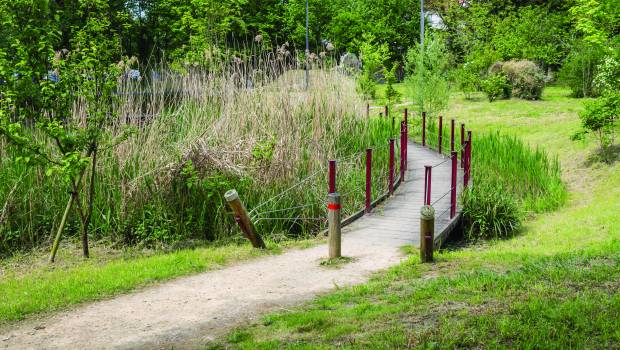 Avis des pros/1 | La réouverture du Petit Rosne à Sarcelles, un levier pour les projets gemapiens