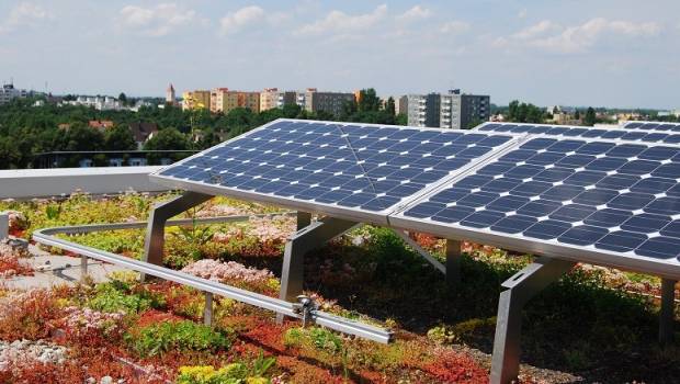 La toiture végétalisée maintient le rendement des installations photovoltaïques