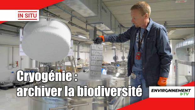 [Vidéo] Une écothèque pour garder la mémoire environnementale d'un territoire