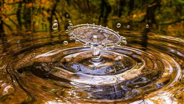 L'agence de l'eau Loire-Bretagne débloque 100 millions d'euros pour préserver la ressource en eau