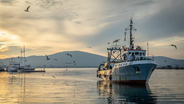 Marine Stewardship Council veut mobiliser 100 millions de dollars pour sauver les océans