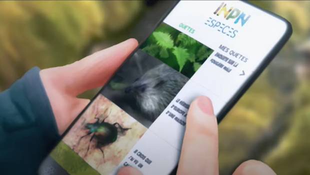 Une application mobile pour sensibiliser les jeunes à la biodiversité