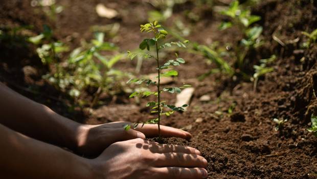 L'Oréal soutient trois nouveaux projets en faveur de la régénération de la nature