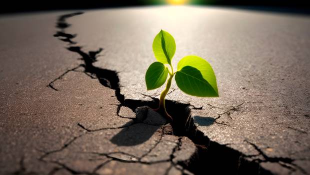 Zéro artificialisation nette : vers un DPE des sols pour la planification urbaine ?