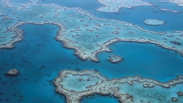 Protection de la grande barrière de corail : l'Australie agit