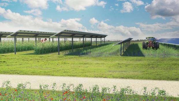 Le groupement Les Mousquetaires expérimente l'agrivoltaïsme