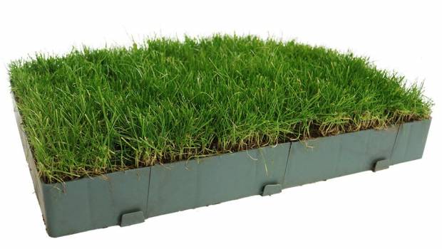 Jouplast végétalise ses plaques de stabilisation