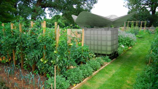 Les villes s’équipent pour faire face à la chaleur