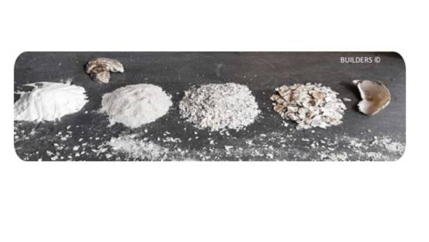 Valoriser les coproduits coquilliers dans les infrastructures routières 