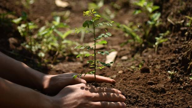 Feve investit dans l'agriculture de demain