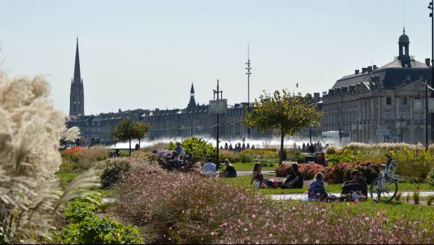 Bordeaux passe du minéral au végétal