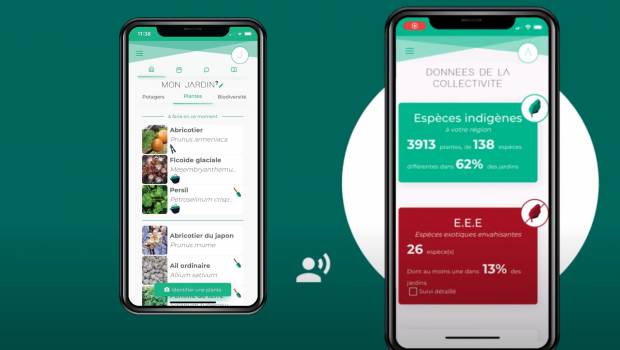 Hortilio, l’application qui favorise la biodiversité en milieu urbain