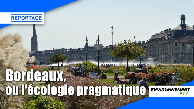 [Vidéo] Bordeaux poursuit sa mue végétale