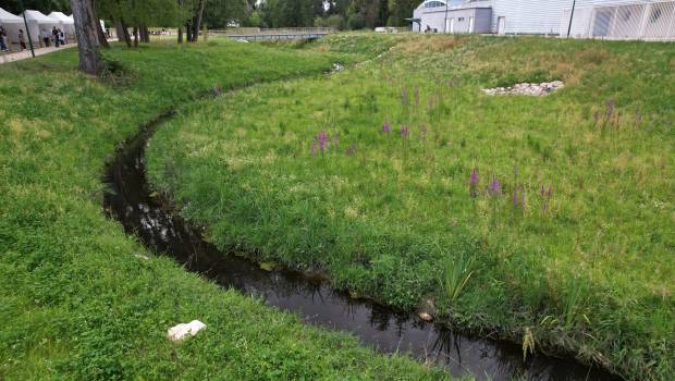 Réouverture du Petit Rosne à Ezanville
