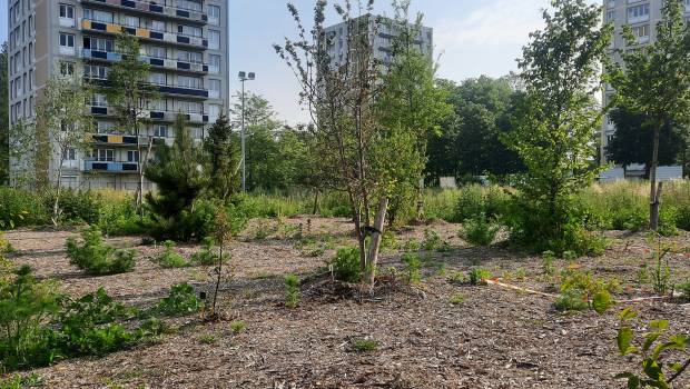 Orizome, la terre végétale issue des déblais de chantier