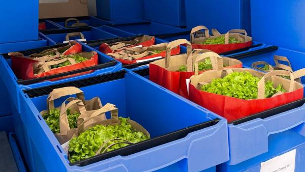 Gaspillage alimentaire : PimpUp offre une seconde vie aux produits rejetés