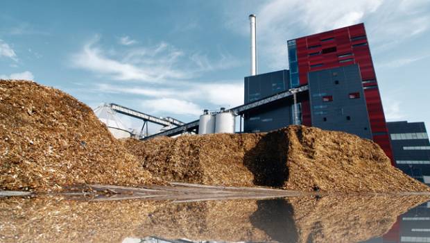 EDF, Meridiam et SIFCA créent la plus grande centrale biomasse d’Afrique de l'Ouest