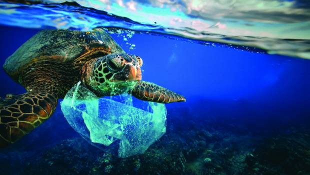Dossier/1 | Outre-mer : plusieurs territoires en état d’alerte