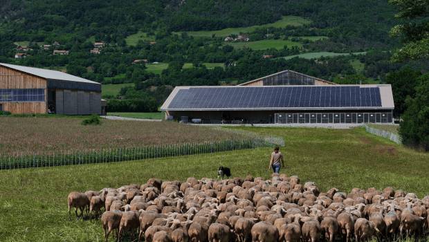 Terre et Lac lance une campagne de financement participatif pour des centrales solaires