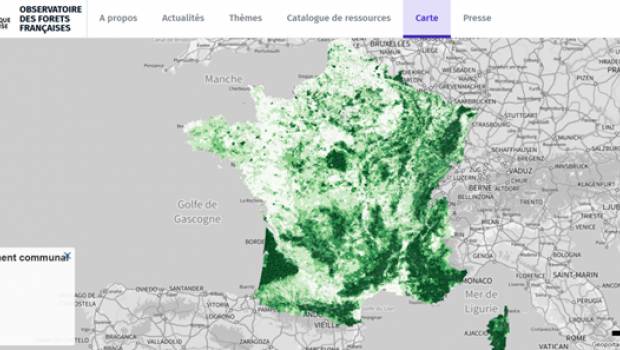 L’Observatoire des forêts françaises est lancé