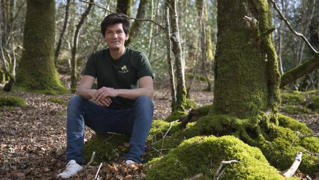 Erwan Le Méné, président d'EcoTree : « Planter des arbres ne suffit pas »