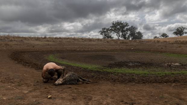 Réchauffement climatique et santé : le bilan est alarmant