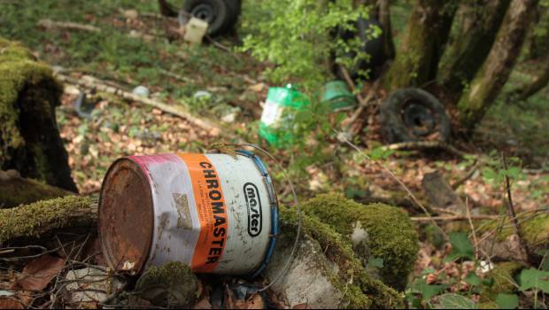 Les polices vertes, pas encore tout à fait mûres