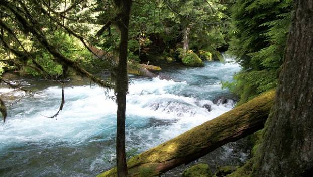 Connaître et agir pour sauver les rivières