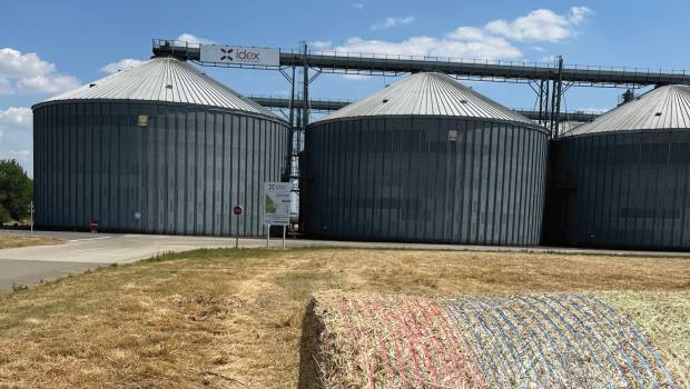 Dossier /2 | La Défense fait le choix des agropellets