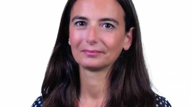 Tout savoir sur : la loi d’accélération des énergies renouvelables