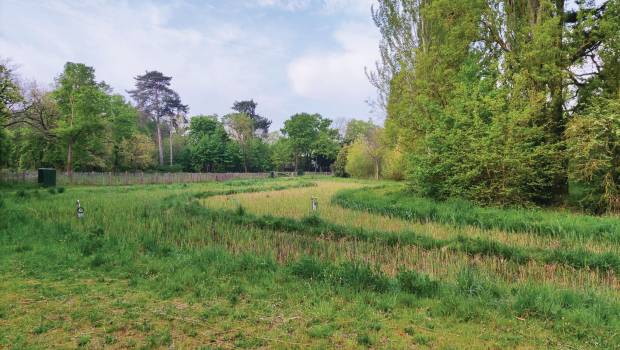 Avis des pros : la Ville de Paris s’attaque aux micropolluants