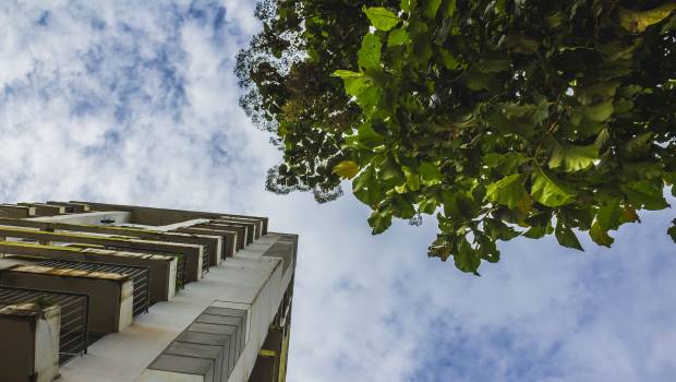 Retour de la nature en ville : lancement du 2e appel à manifestation d’intérêt en Ile-de-France