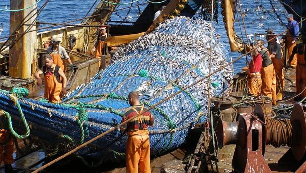 La surpêche en Méditerranée diminue, selon un rapport de la FAO et de la CGPM