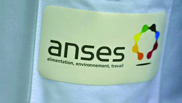 Eau et micropolluants/ 3 | Pesticides : le rôle de l’Anses