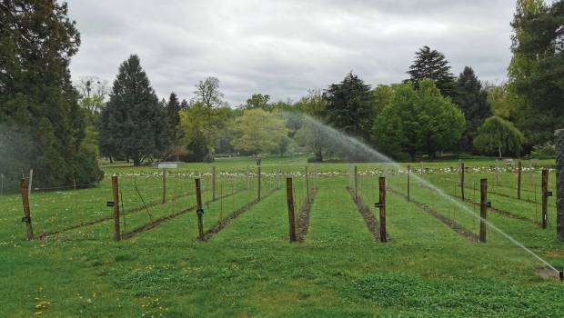 Espaces verts/1 | Plus d’îlots de fraîcheur, avec moins d’eau potable